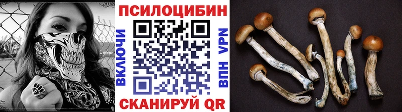 Псилоцибиновые грибы Cubensis  где купить наркоту  Полярные Зори 